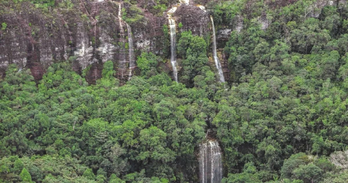 Cascadas que bajan por una pared rocosa entre la selva amazónica colombiana