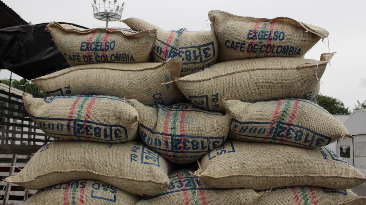 Sacos de café de exportación apilados
