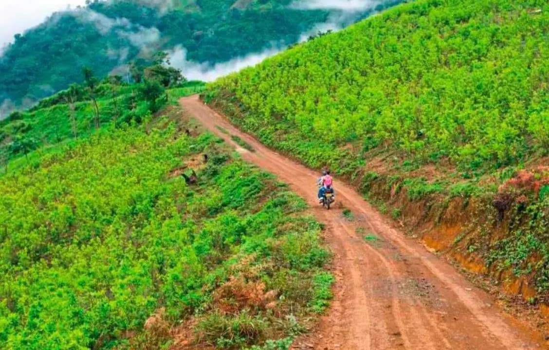 Camino destapado entre laderas sembradas de coca, con una motocicleta subiendo la pendiente