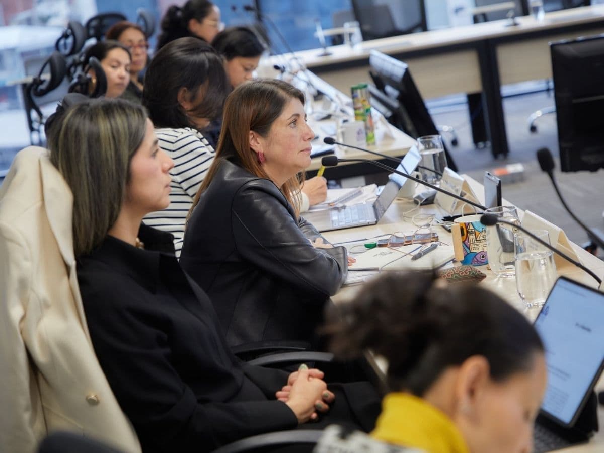 La defensora del Pueblo, Iris Marín, durante una sesión de trabajo