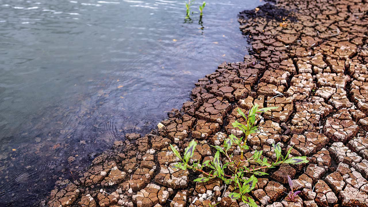 Orilla agrietada de un embalse con bajo nivel de agua