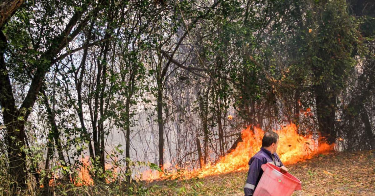 Incendio forestal consumiendo vegetación en una ladera en Colombia