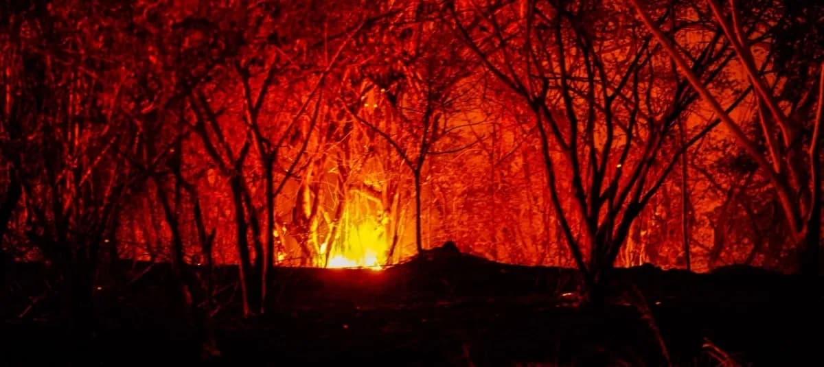 Un incendio forestal ilumina la noche entre árboles sin hojas en una zona rural del Tolima