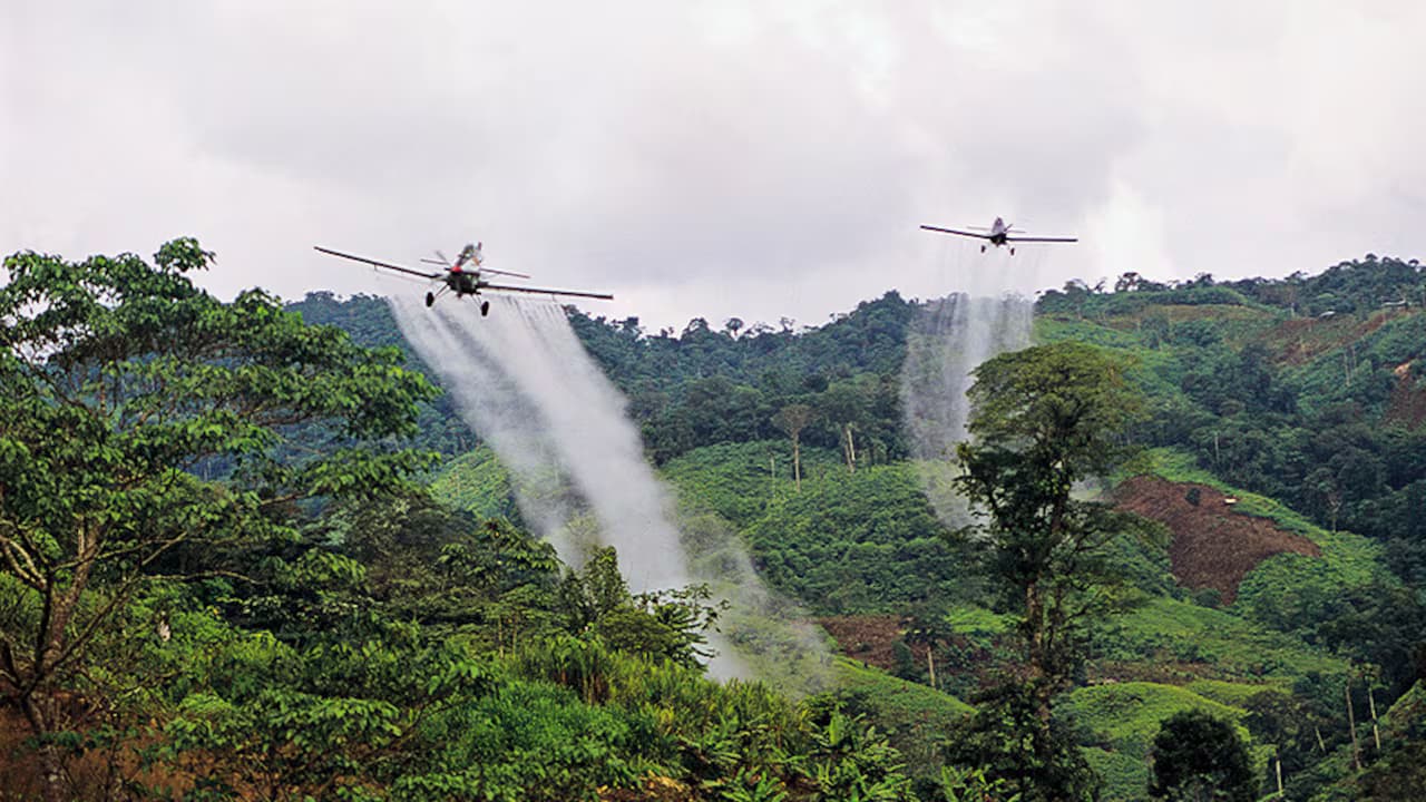 Avionetas de aspersión aérea sobre cultivos en zona montañosa