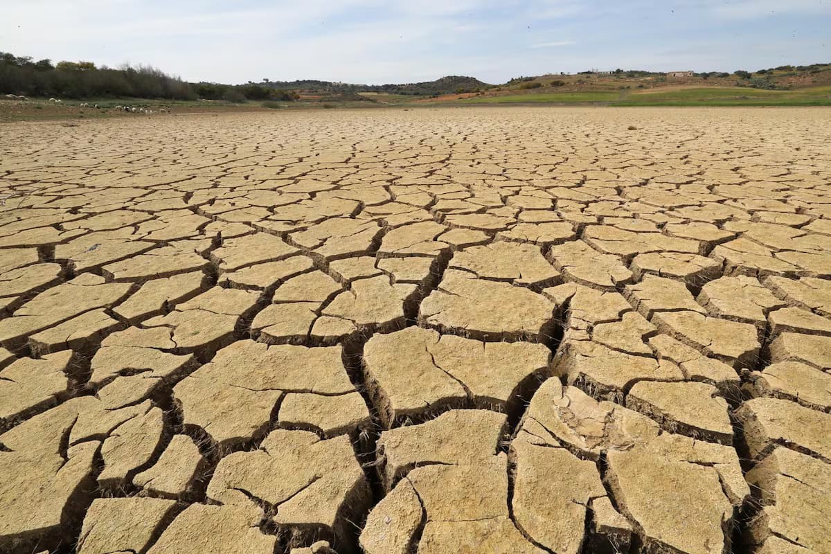 Suelo agrietado por la sequía