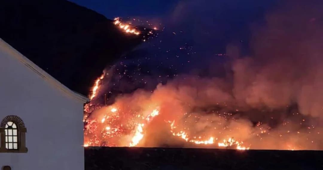 Llamas avanzando de noche por un cerro junto a la fachada blanca de una capilla