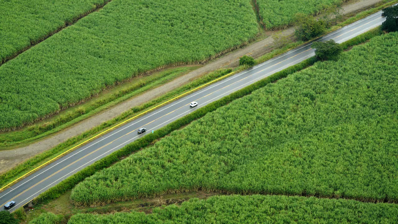 Vista aérea de una carretera entre cultivos de caña de azúcar en el valle del río Cauca