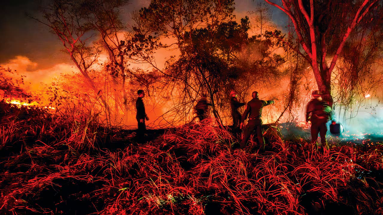 Un grupo de bomberos forestales trabaja de noche entre pastizales en llamas, con árboles quemados y humo iluminado por el fuego