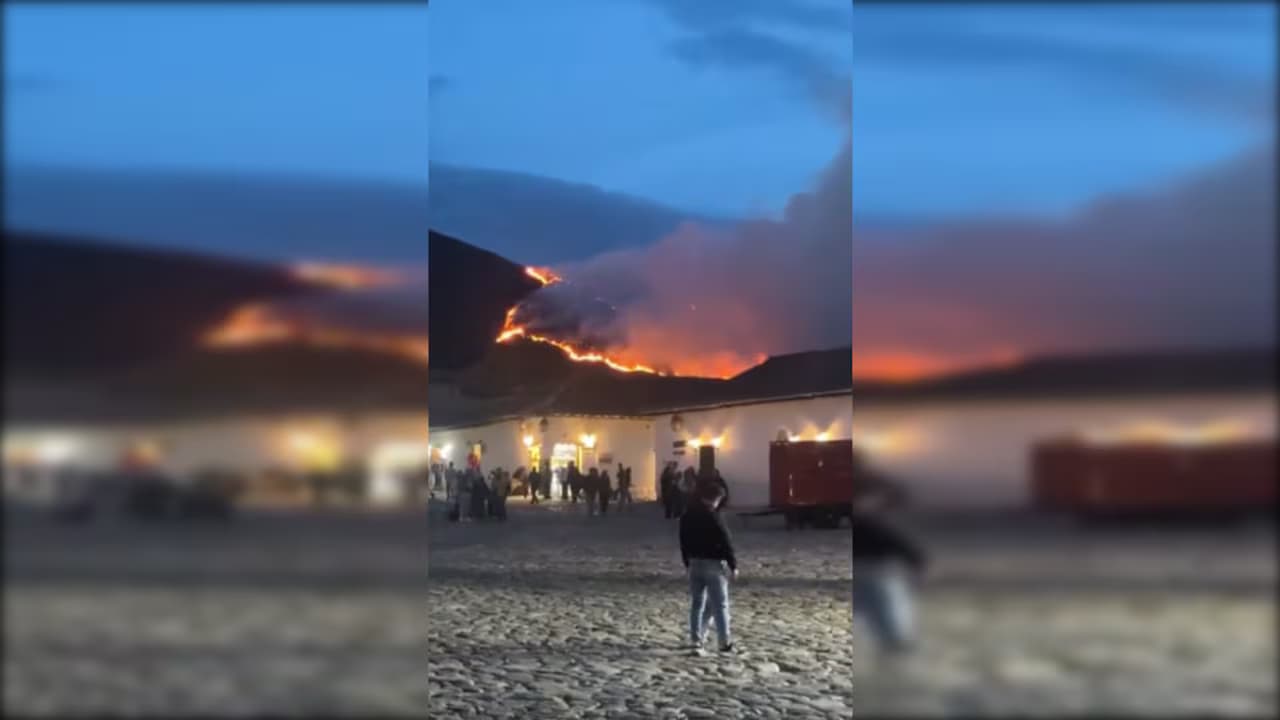 Llamas avanzando por el cerro sobre las casas de Villa de Leyva al anochecer