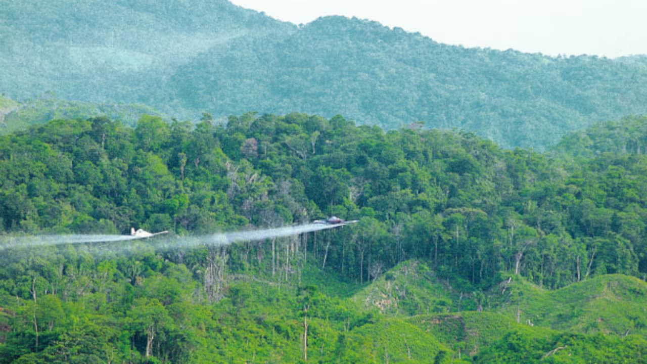 Avioneta de aspersión sobre un cultivo en Colombia
