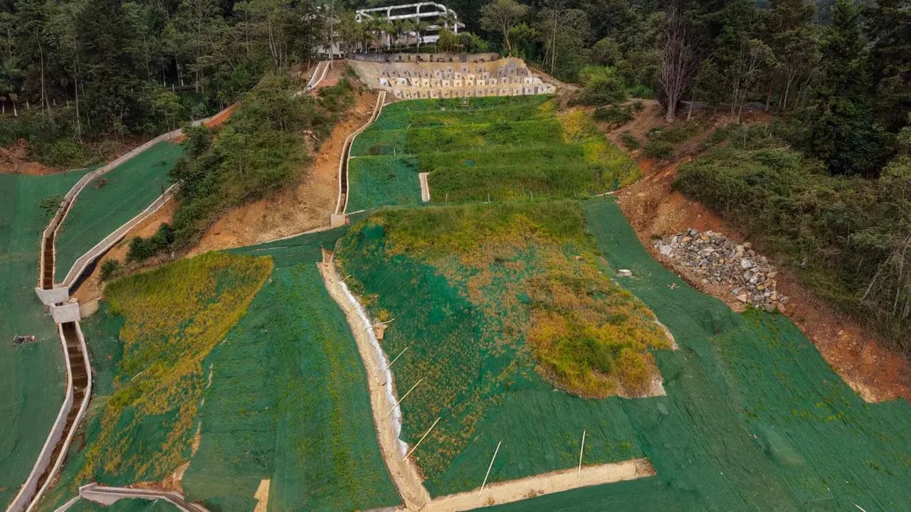 Vista aérea del talud de Los Balsos con terrazas, canales y cobertura vegetal tras las obras de estabilización