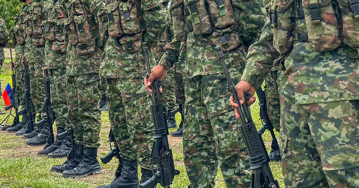 Soldados formados en un potrero, vistos de la cintura para abajo, sostienen sus fusiles apoyados en el piso junto a una bandera de Colombia