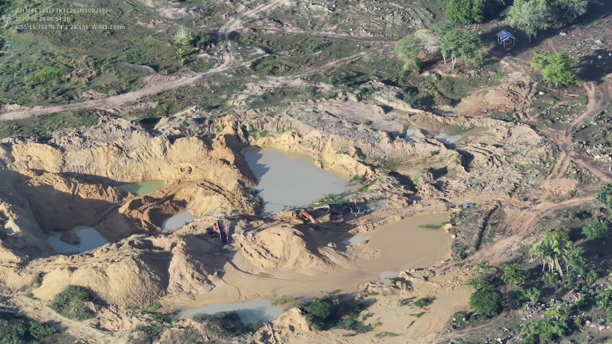 Vista aérea de un terreno deforestado y lleno de pozos por la explotación de oro de aluvión