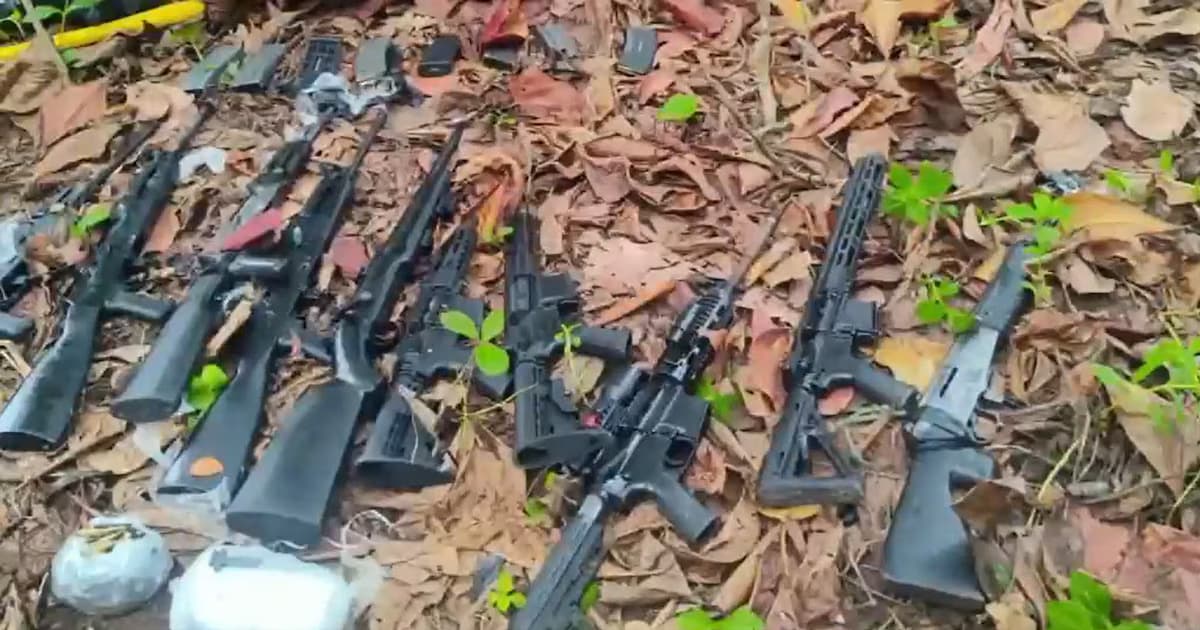 Fusiles incautados por la Policía tendidos sobre hojarasca en Santa Marta