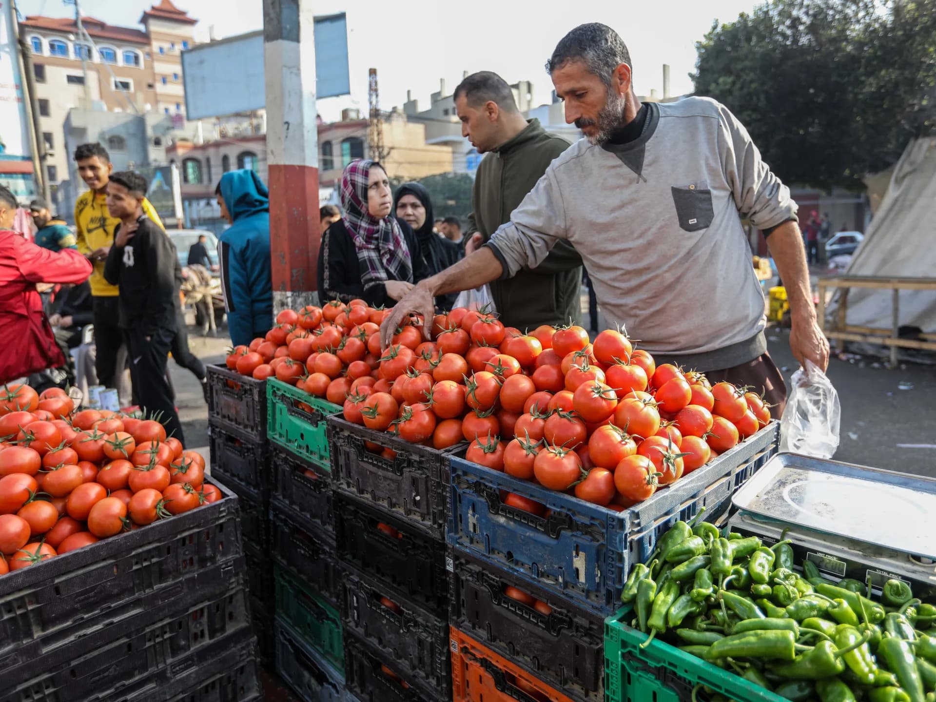 Un vendedor ordena tomates en un puesto de un mercado callejero en Gaza