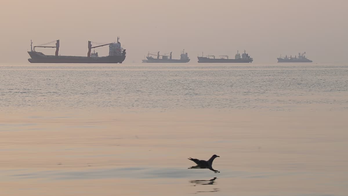 Barcos de carga fondeados en el estrecho de Ormuz, frente a Bandar Abbas, Irán