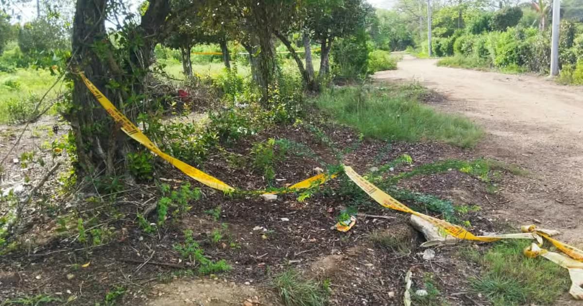 Cinta amarilla de acordonamiento entre la maleza junto a una vía destapada en la zona rural de Puerto Rey