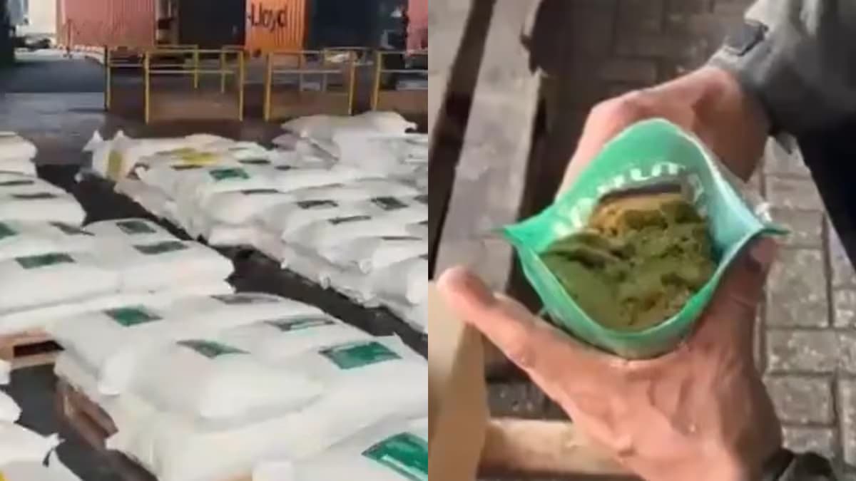 Bultos de panela pulverizada mezclada con cocaína, incautados en el puerto de Cartagena