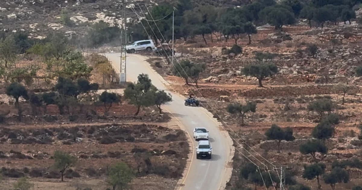 Vehículos de la delegación diplomática por una carretera entre olivares cerca de Taybeh, en Cisjordania