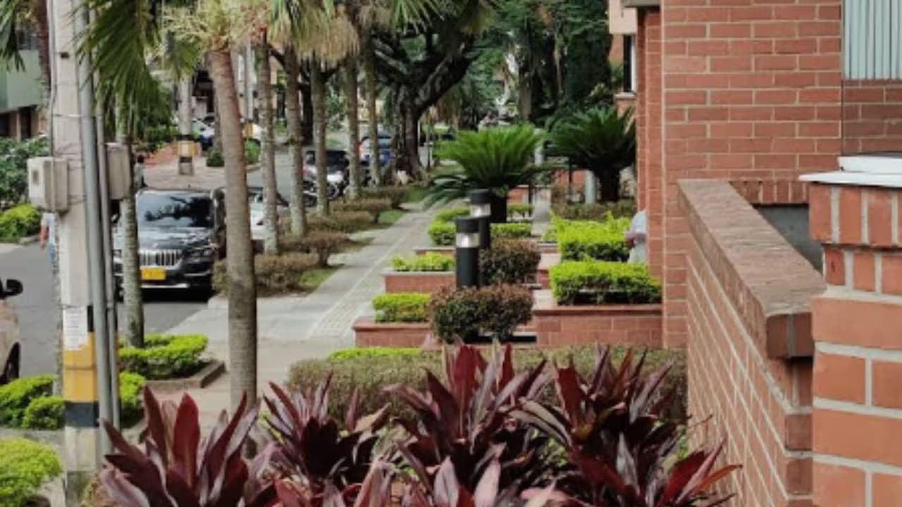 Calle arborizada del barrio Laureles, en Medellín