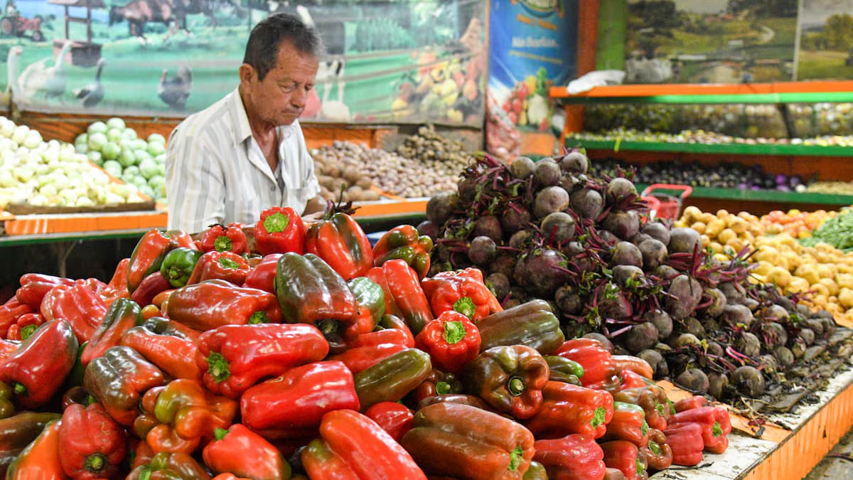 Un vendedor junto a pilas de pimentones, remolachas y papas en una plaza de mercado