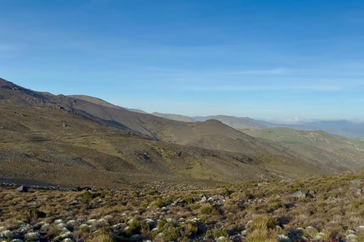 Paisaje del Páramo de Santurbán en Santander con frailejones y montañas