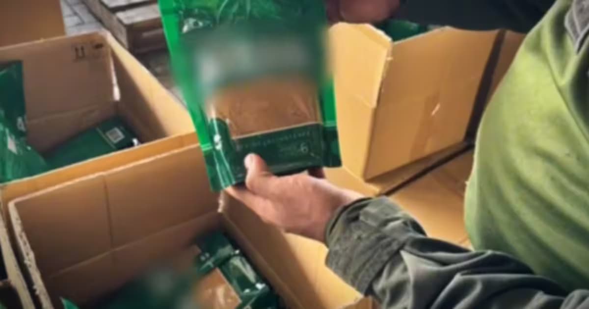 Un policía sostiene un paquete de panela pulverizada en la que iba oculta la cocaína, entre cajas de cartón