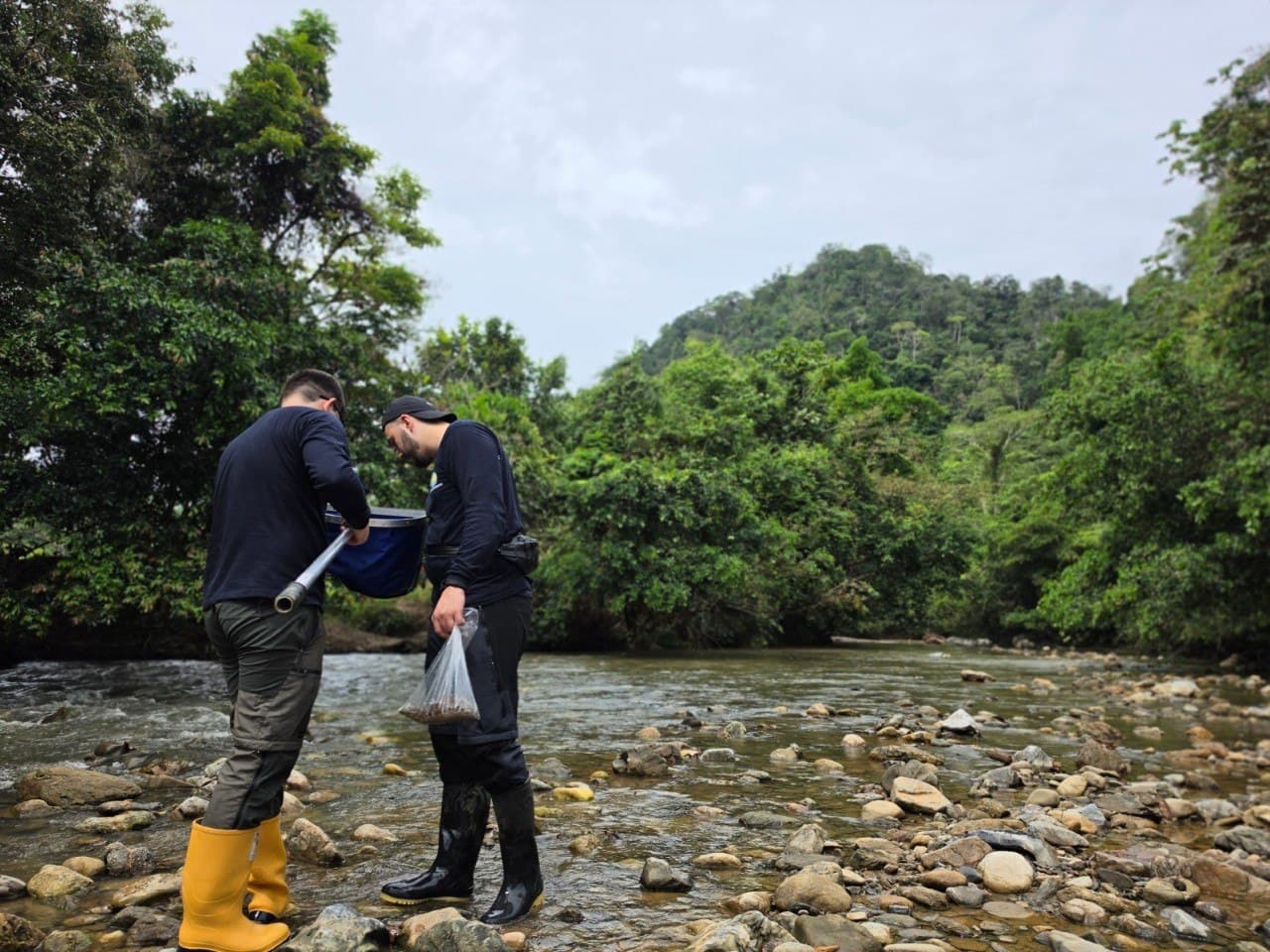 Dos técnicos de Corantioquia toman muestras dentro de un río de aguas bajas, entre piedras descubiertas y monte a lado y lado