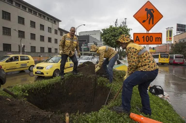 Tres operarios con uniforme amarillo cavan un hoyo y siembran un árbol en un separador de una avenida, junto a una señal de obra y una fila de taxis detenidos
