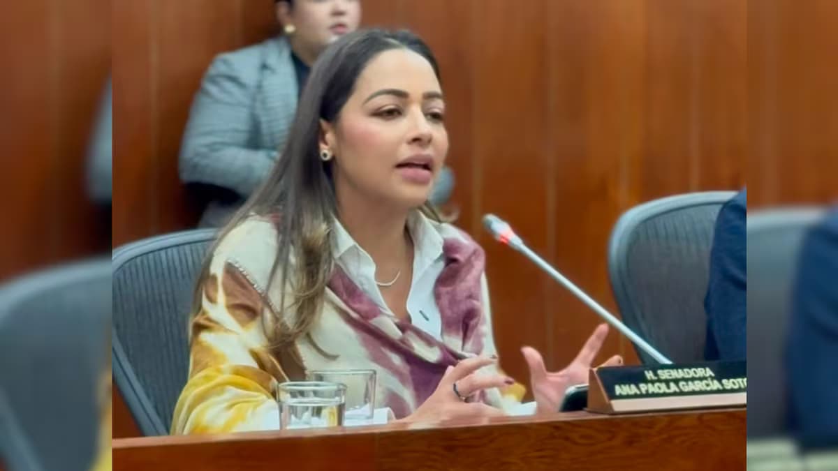 La senadora Ana Paola García interviene en el Senado