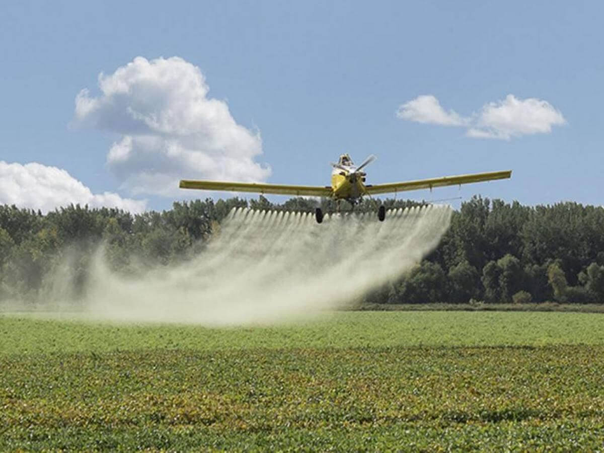 Una avioneta fumiga un cultivo (imagen de referencia)