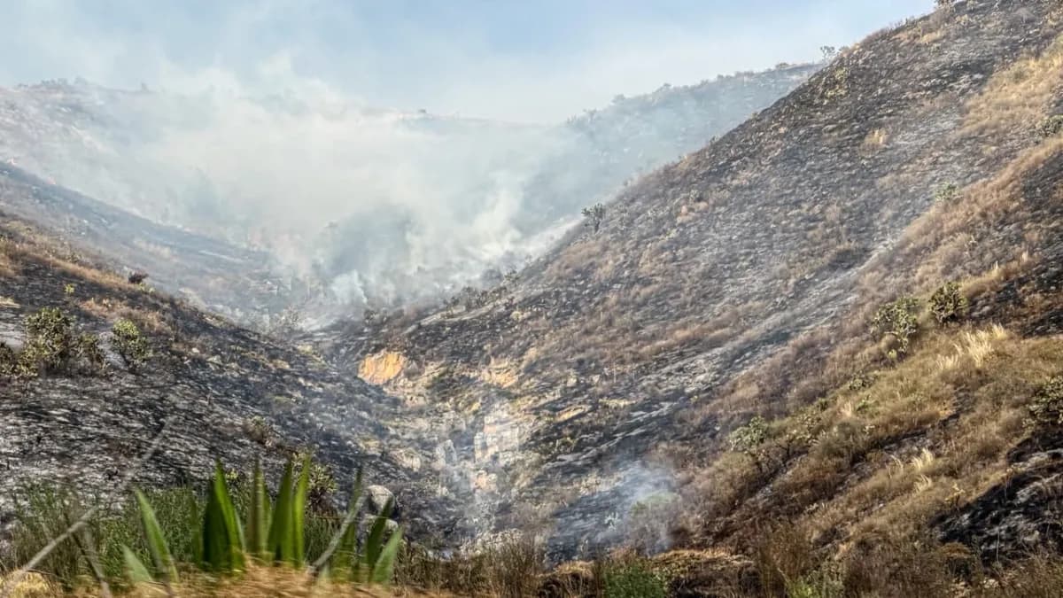 Ladera de montaña con la vegetación calcinada y columnas de humo saliendo del terreno quemado