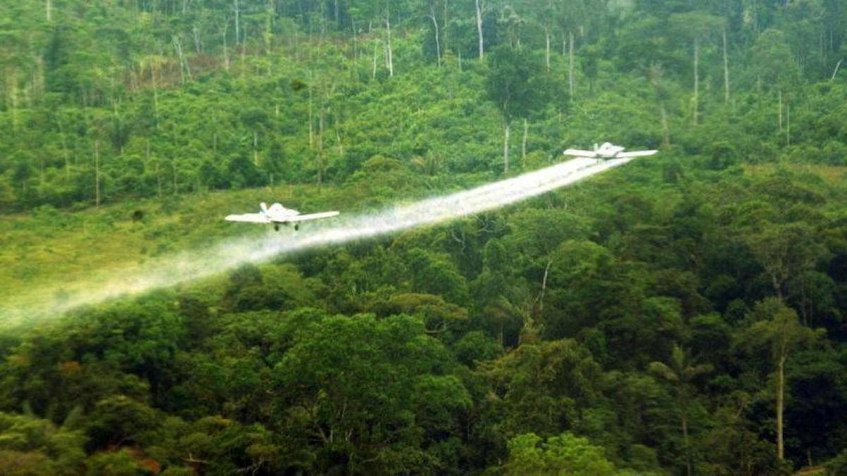Dos avionetas vuelan a baja altura sobre la selva dejando una estela de líquido pulverizado