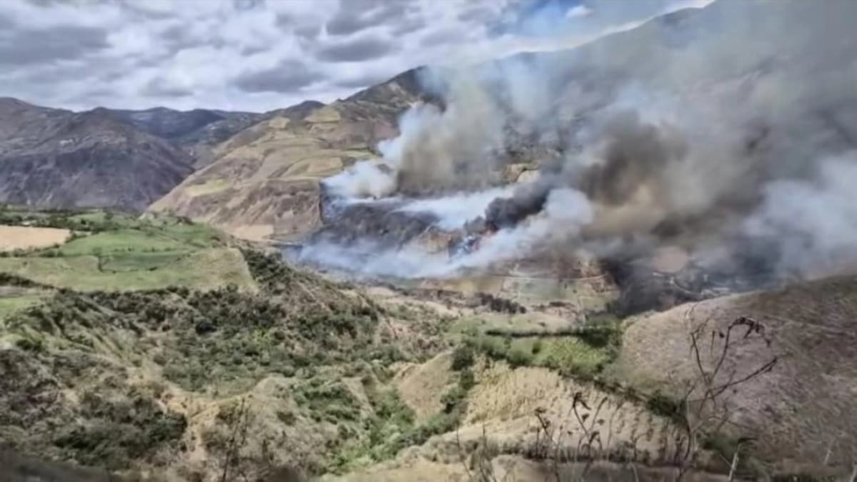Columnas de humo se levantan sobre una ladera de montaña con cultivos y vegetación quemada
