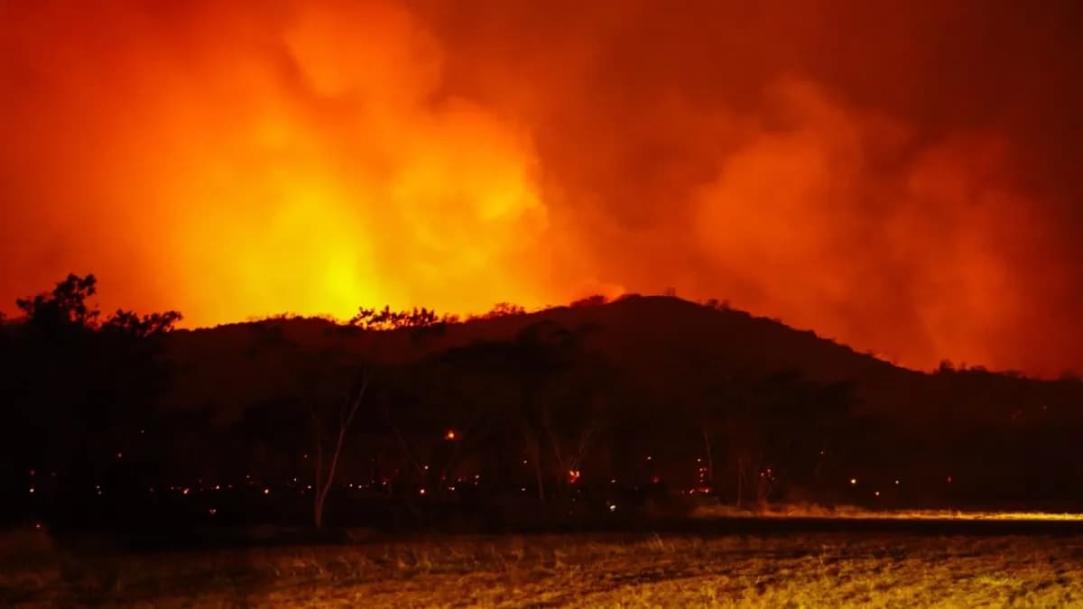Incendio forestal en el Tolima, Colombia