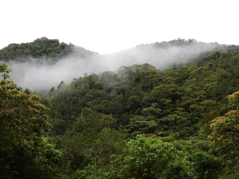 Vista de Medellín, sede de la Climate Week Biodiversity 2026