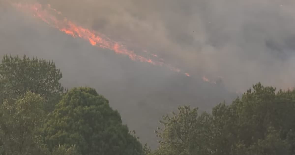 Línea de fuego avanzando sobre la ladera de un cerro entre humo