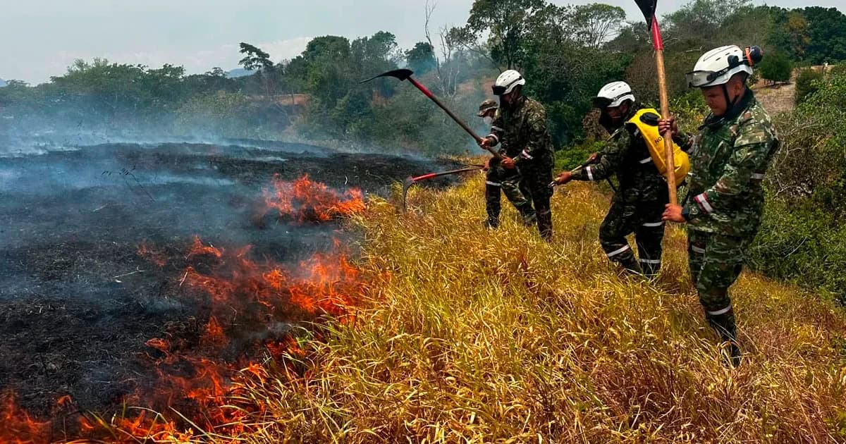 Soldados sofocan con herramientas manuales un incendio de pastizales en un potrero