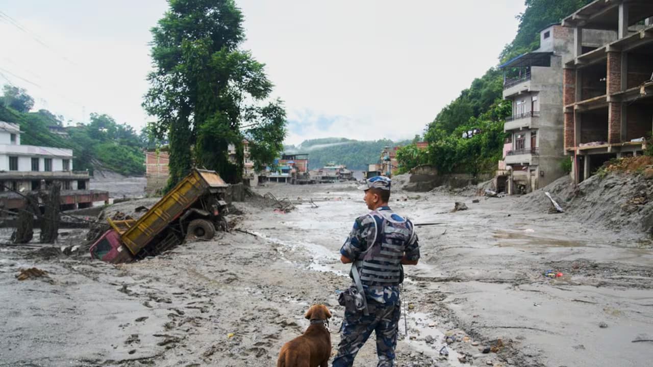 Un policía nepalés de espaldas, acompañado de un perro, observa una calle cubierta de lodo con un camión volcado y edificios dañados