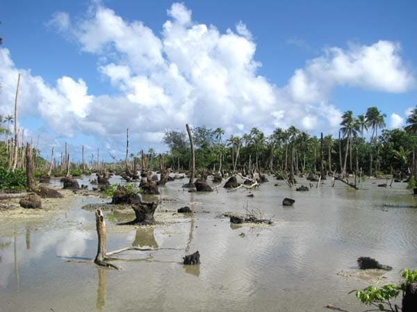 La costa de la isla de Loh, en las islas Torres de Vanuatu, con palmeras de coco y terreno revuelto por una inundación, en una fotografía de archivo de abril de 2009