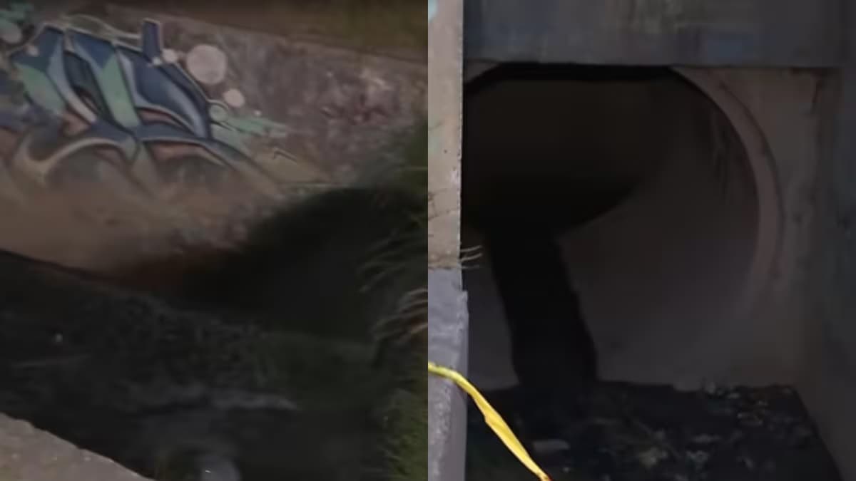 Conducto de aguas y boca de alcantarilla en el sector de Ciudad Bolívar donde fue hallado el cuerpo