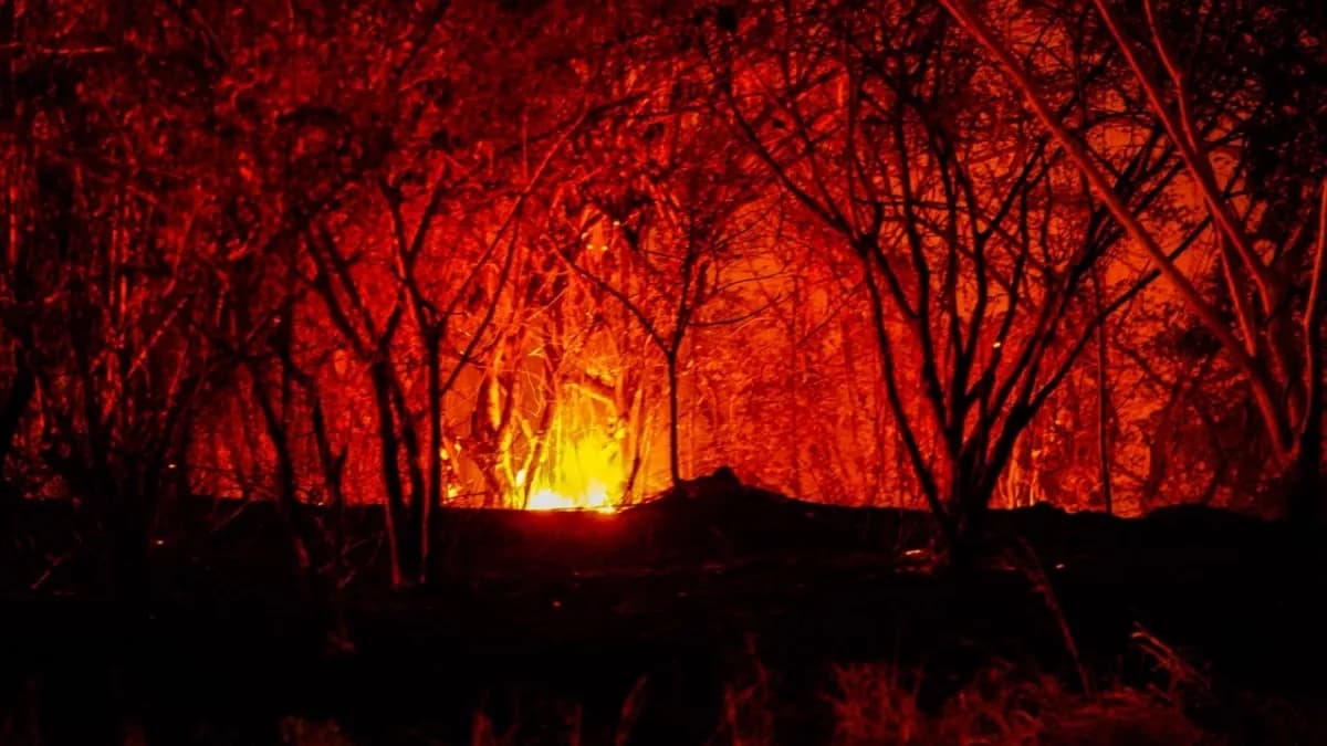 Frente de llamas avanzando de noche entre árboles quemados en una ladera del Tolima