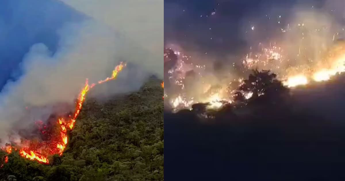 Llamas y columna de humo del incendio forestal en zona rural de Ábrego, Norte de Santander