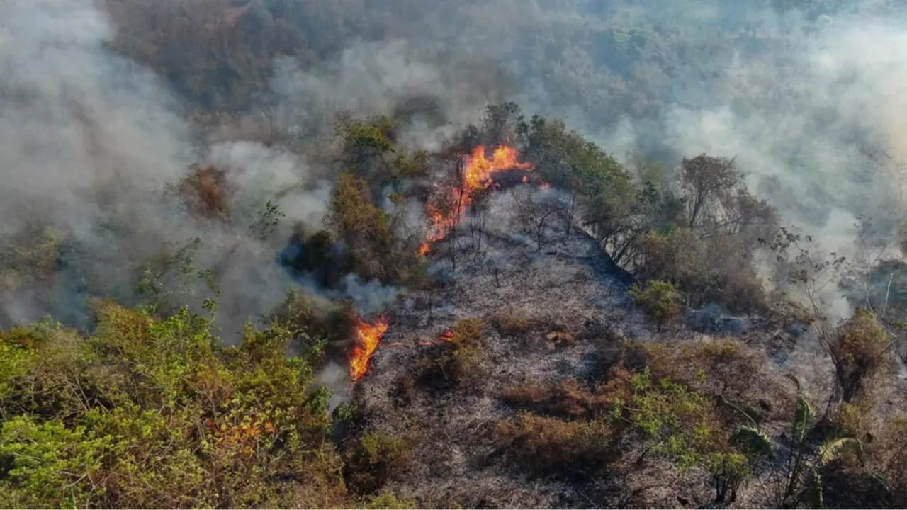 Vista aérea de un incendio forestal con llamas y humo sobre una ladera de vegetación seca