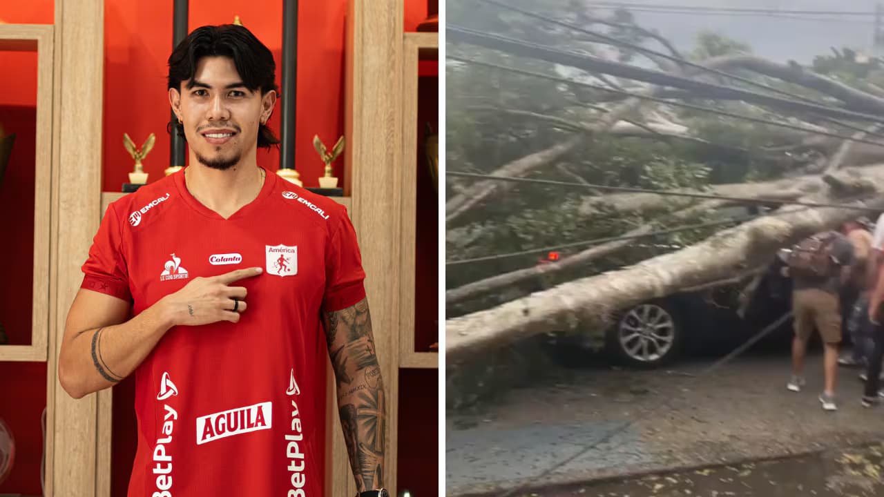 A la izquierda, Nicolás Hernández con la camiseta del América de Cali; a la derecha, el árbol caído sobre su camioneta en Ciudad Jardín