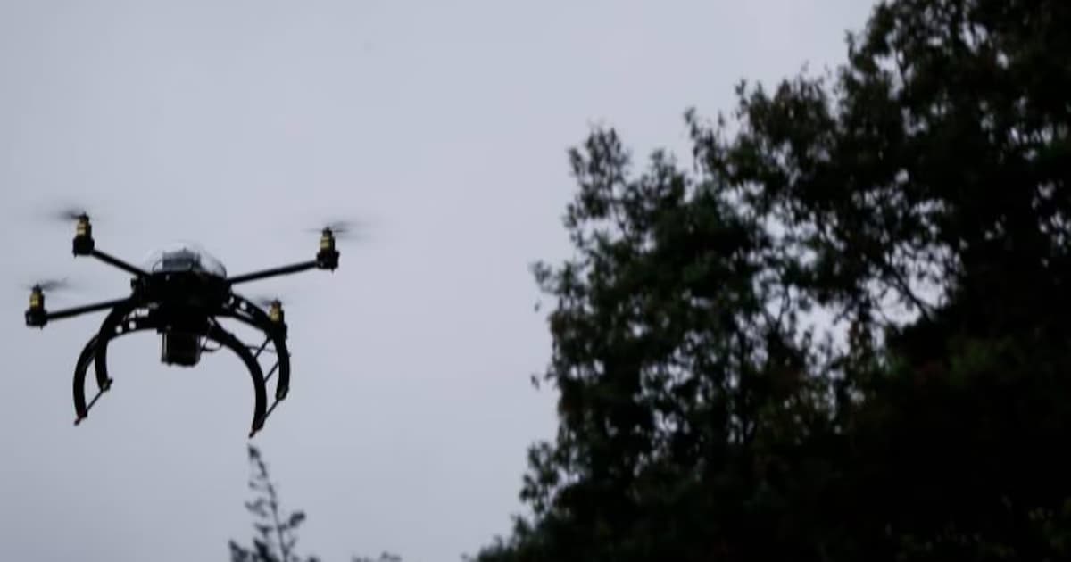 Un dron en vuelo junto a la copa de un árbol, en una imagen de archivo