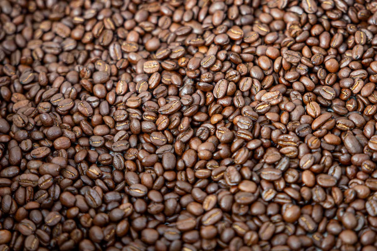 Granos de café tostado