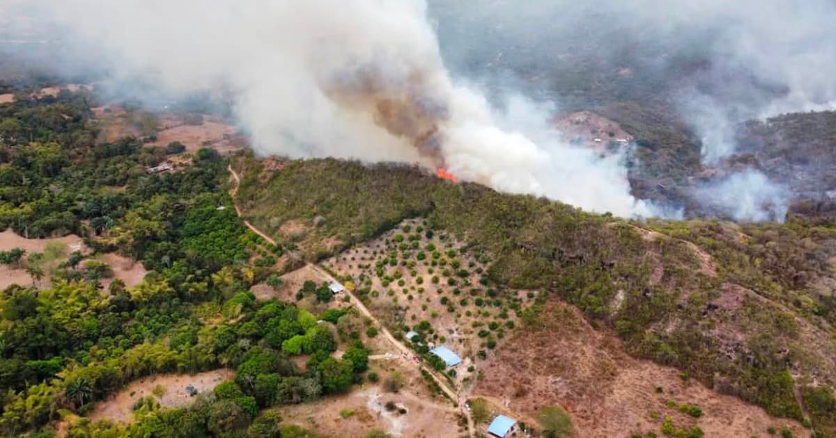 Vista aérea del fuego avanzando sobre una ladera con cultivos y casas campesinas en el Tolima