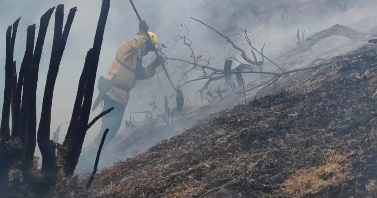 Llamas y humo en la ladera de un cerro durante un incendio forestal