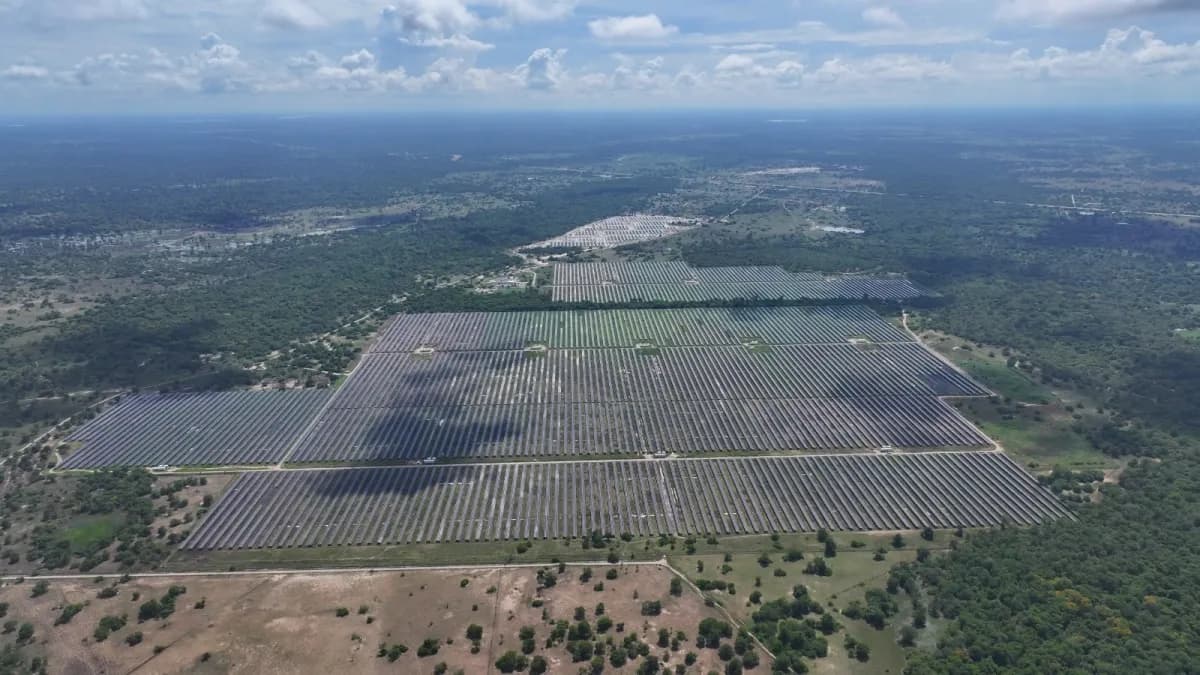 Vista aérea de los paneles del complejo solar en el Atlántico